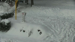 Běžecký lyžařský areál Nová Ves - horní část