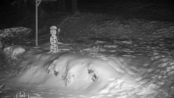 Běžecký lyžařský areál Nová Ves - horní část