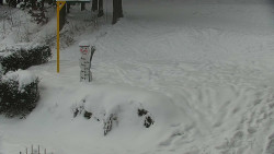 Běžecký lyžařský areál Nová Ves - horní část