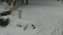 Běžecký lyžařský areál Nová Ves - horní část