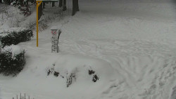 Běžecký lyžařský areál Nová Ves - horní část