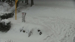 Běžecký lyžařský areál Nová Ves - horní část