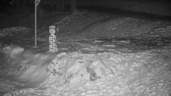 Běžecký lyžařský areál Nová Ves - horní část