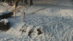 Běžecký lyžařský areál Nová Ves - horní část