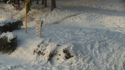 Běžecký lyžařský areál Nová Ves - horní část