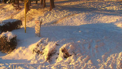 Běžecký lyžařský areál Nová Ves - horní část