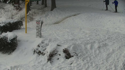 Běžecký lyžařský areál Nová Ves - horní část