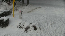 Běžecký lyžařský areál Nová Ves - horní část