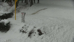 Běžecký lyžařský areál Nová Ves - horní část