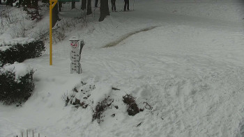 Chata Myslivna SKP Olomouc