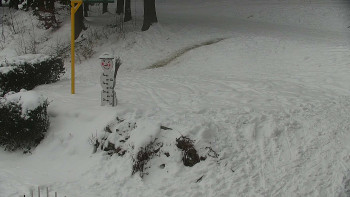 Chata Myslivna SKP Olomouc