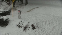 Běžecký lyžařský areál Nová Ves - horní část