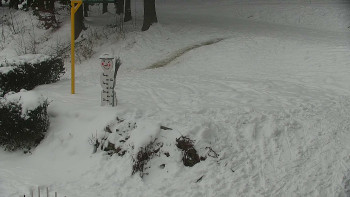 Chata Myslivna SKP Olomouc