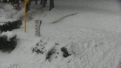 Běžecký lyžařský areál Nová Ves - horní část