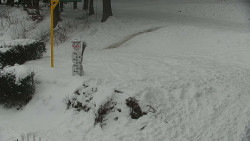 Běžecký lyžařský areál Nová Ves - horní část