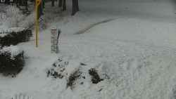 Běžecký lyžařský areál Nová Ves - horní část