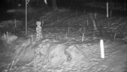 Běžecký lyžařský areál Nová Ves - horní část