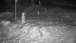 Běžecký lyžařský areál Nová Ves - horní část