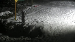 Běžecký lyžařský areál Nová Ves - horní část