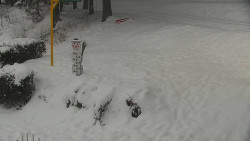 Běžecký lyžařský areál Nová Ves - horní část