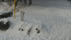 Běžecký lyžařský areál Nová Ves - horní část
