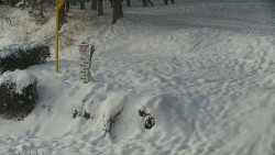 Běžecký lyžařský areál Nová Ves - horní část