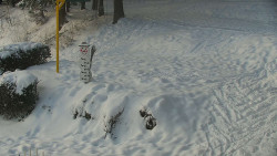 Běžecký lyžařský areál Nová Ves - horní část