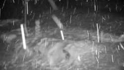 Běžecký lyžařský areál Nová Ves - horní část