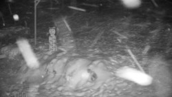 Běžecký lyžařský areál Nová Ves - horní část