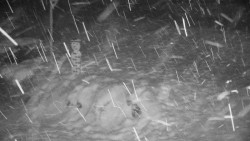 Běžecký lyžařský areál Nová Ves - horní část