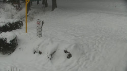 Běžecký lyžařský areál Nová Ves - horní část