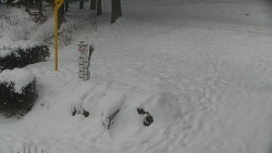 Běžecký lyžařský areál Nová Ves - horní část