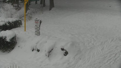 Běžecký lyžařský areál Nová Ves - horní část