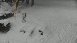 Běžecký lyžařský areál Nová Ves - horní část