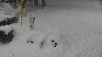 Chata Myslivna SKP Olomouc