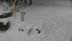 Běžecký lyžařský areál Nová Ves - horní část