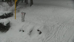 Běžecký lyžařský areál Nová Ves - horní část