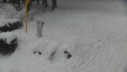 Běžecký lyžařský areál Nová Ves - horní část