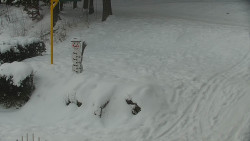 Běžecký lyžařský areál Nová Ves - horní část