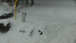 Běžecký lyžařský areál Nová Ves - horní část