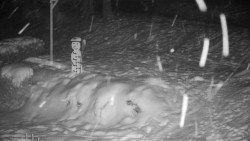 Běžecký lyžařský areál Nová Ves - horní část