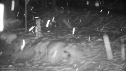 Běžecký lyžařský areál Nová Ves - horní část