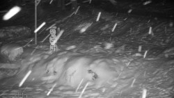 Běžecký lyžařský areál Nová Ves - horní část