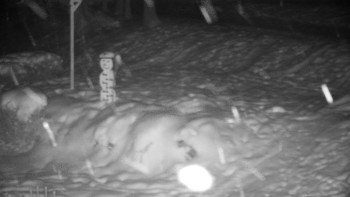 Chata Myslivna SKP Olomouc