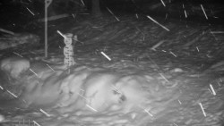 Běžecký lyžařský areál Nová Ves - horní část