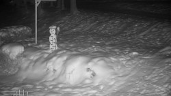 Běžecký lyžařský areál Nová Ves - horní část