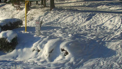 Běžecký lyžařský areál Nová Ves - horní část