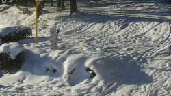 Běžecký lyžařský areál Nová Ves - horní část