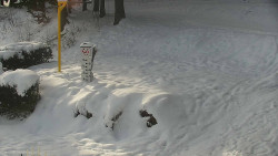 Běžecký lyžařský areál Nová Ves - horní část