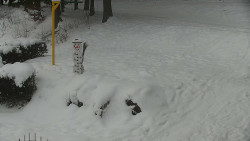 Běžecký lyžařský areál Nová Ves - horní část